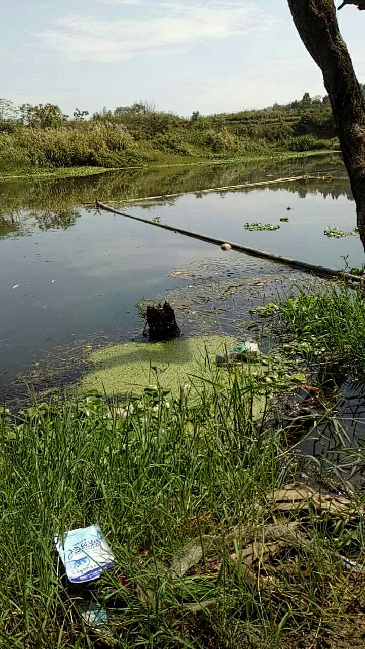 恒丰庵堂边