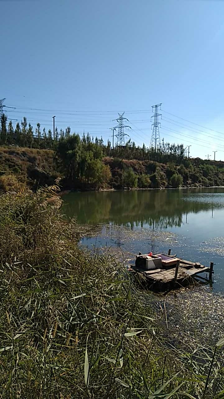汾河阳兴匝道野泳场