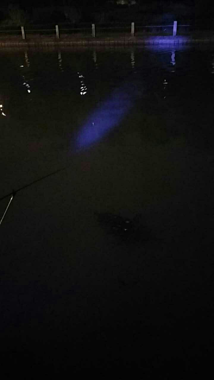 九新公路亭园小区