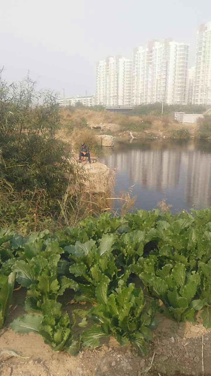 新开河田家沟段