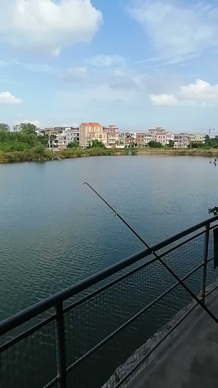 土猪土鸡生态园