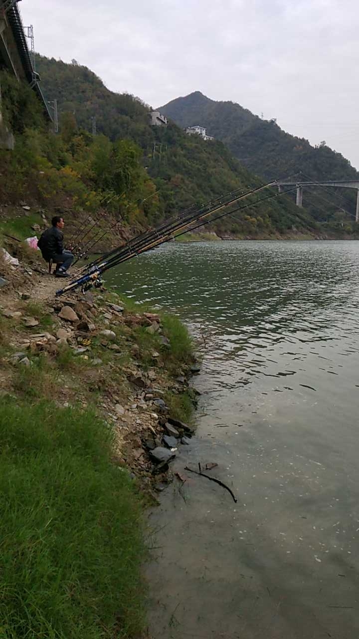陕西紫阳县野钓
