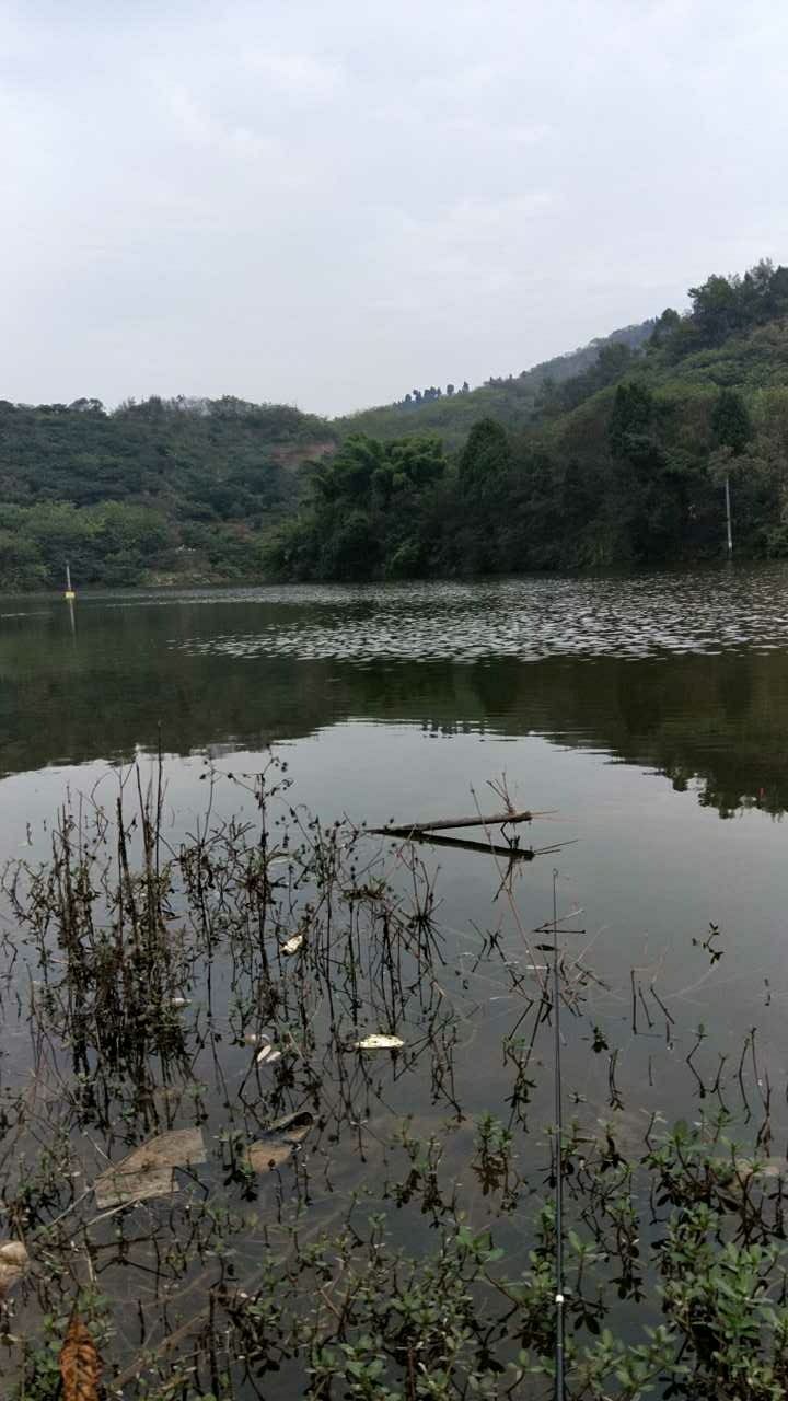 龙泉驿区罗家湾