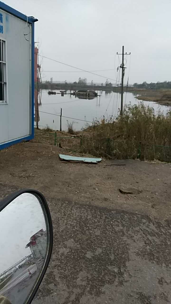 船厂边长江畔纯野生钓鱼