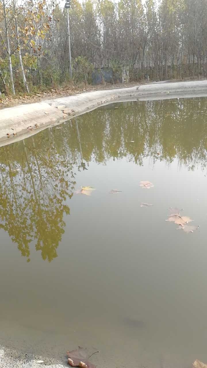 二十里铺财合院生态园