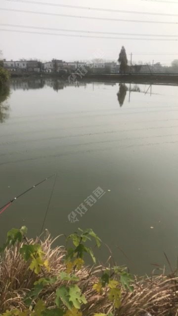 竹丝港东庄鱼塘