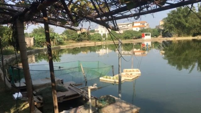 渔乐部钓场