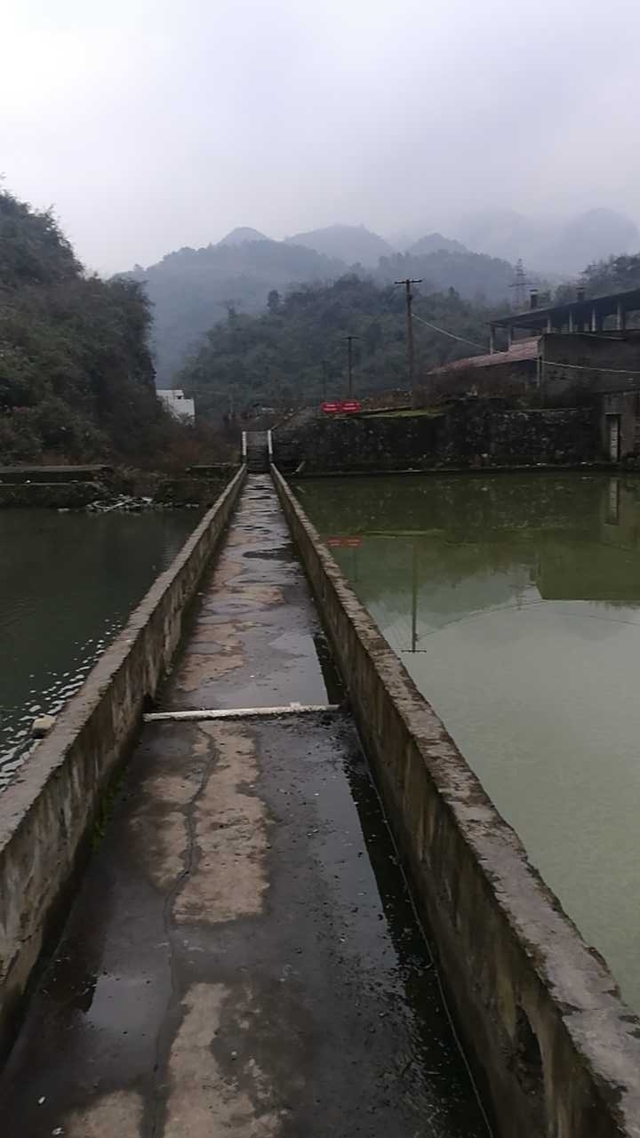 沙湾运输联鱼塘