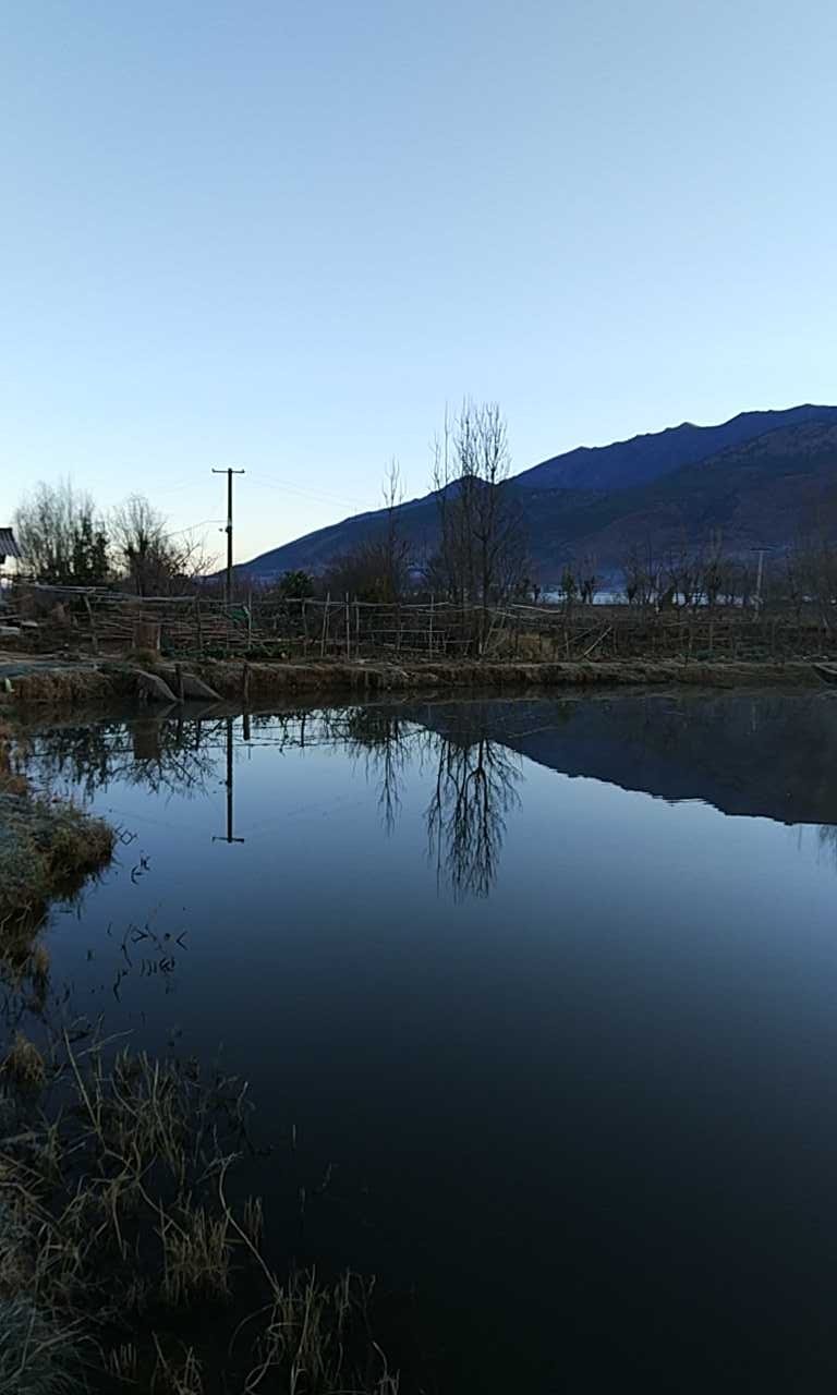 康福李锦灿养殖塘