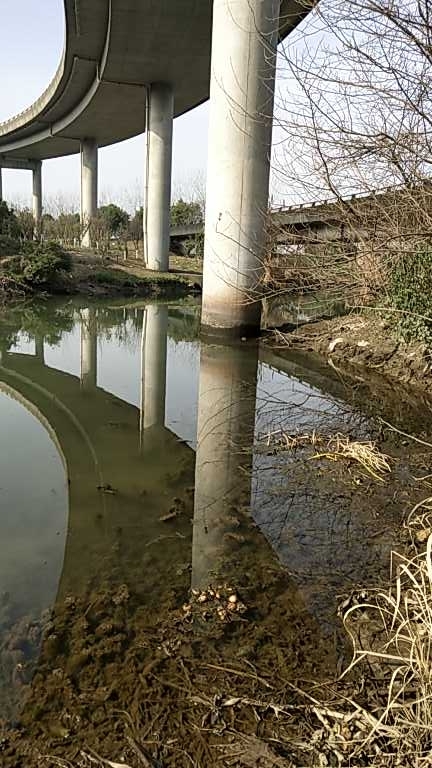 寿山野河