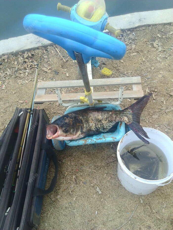 啦啦啦，啦啦啦，一条就用车推啦?。