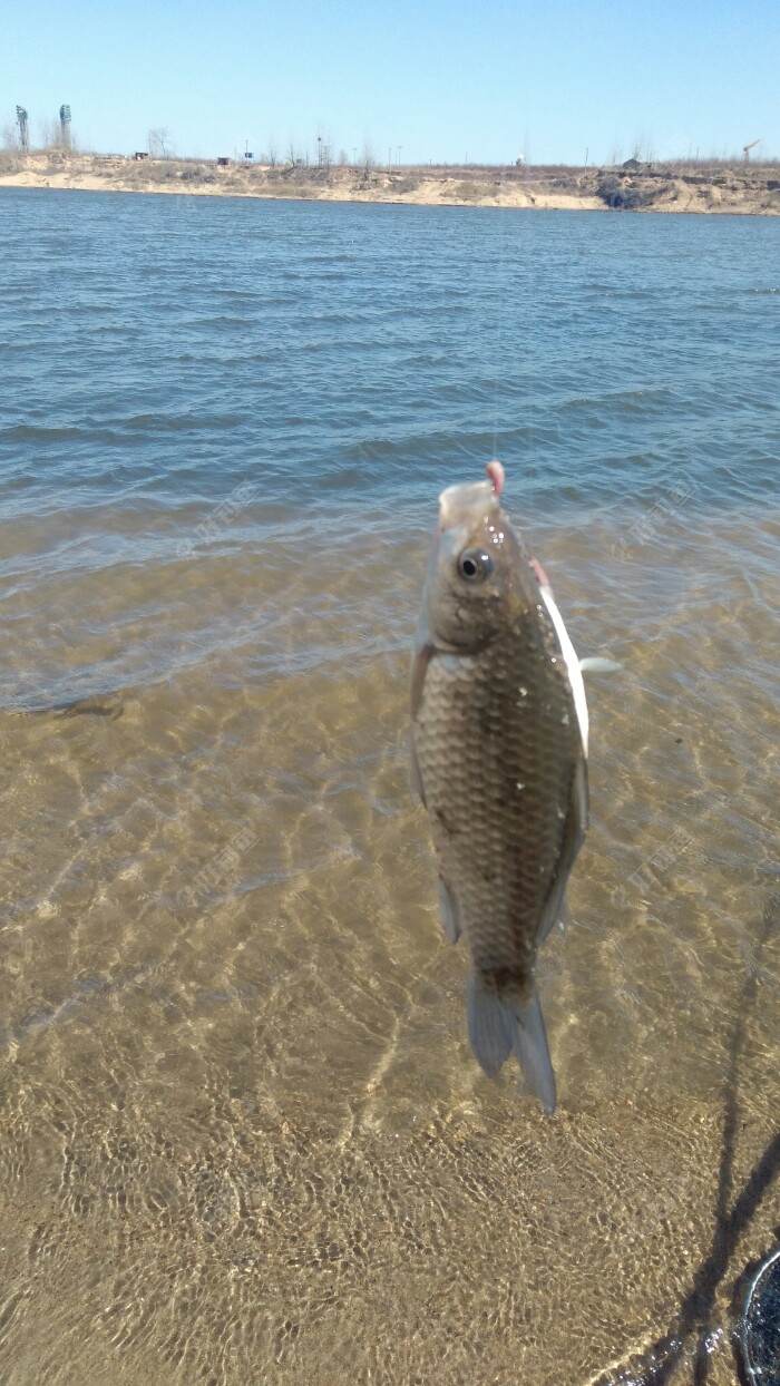 IMG_20190312_125328.jpeg