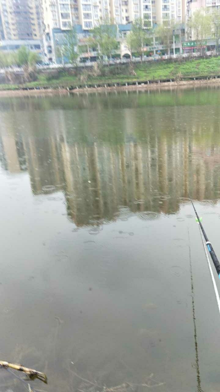 郪江河彩禾大道