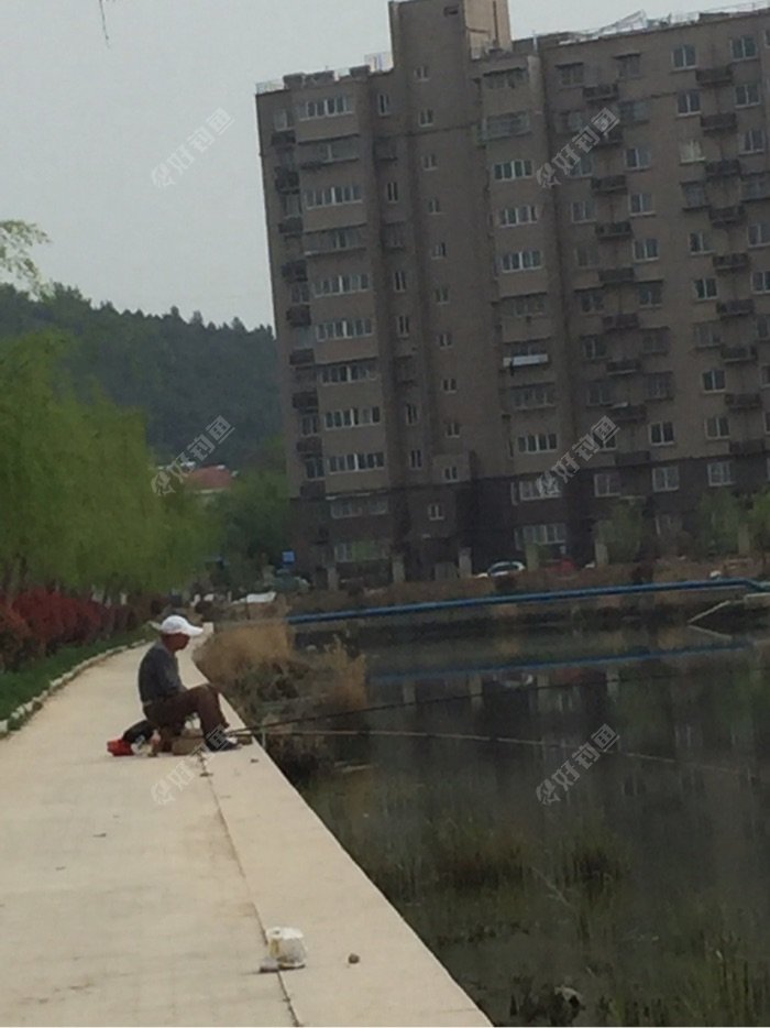 仍在老地方，这是钓友老路到后抓紧打窝钓鱼。
