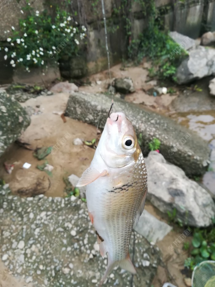 IMG_20190324_115609.jpeg