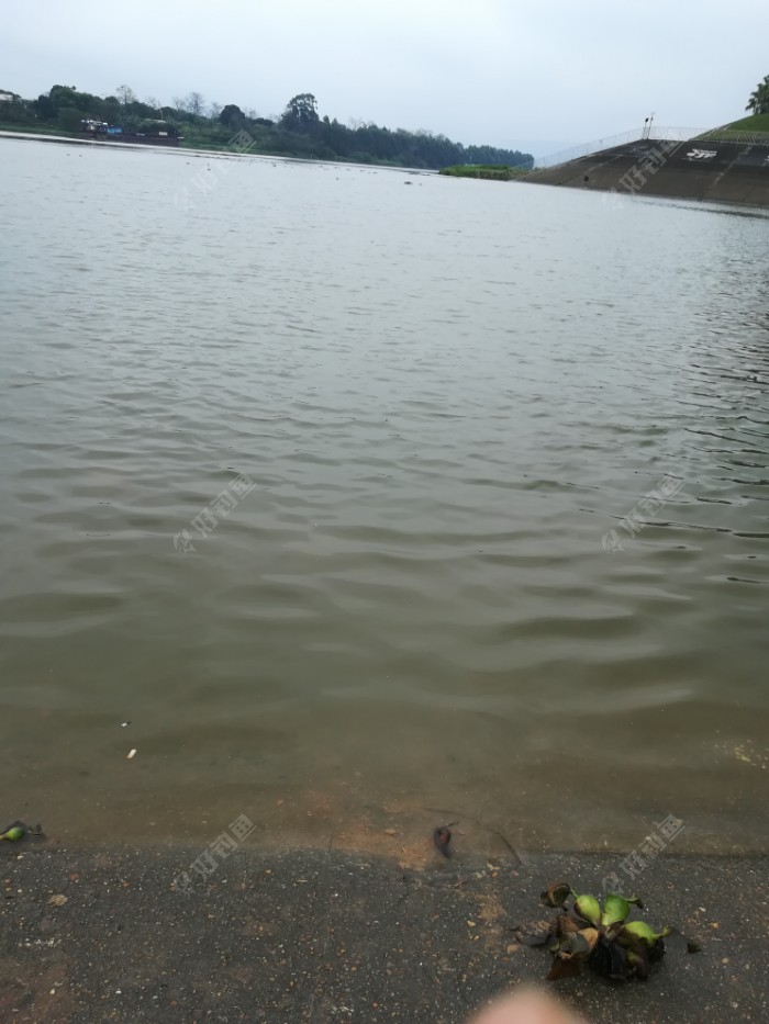 大水面，聚鱼慢，得重窝久等，