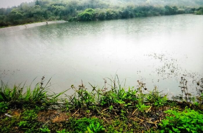 栗山水圳小水库