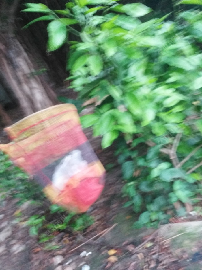 我又开始捡垃圾，后来一个年
