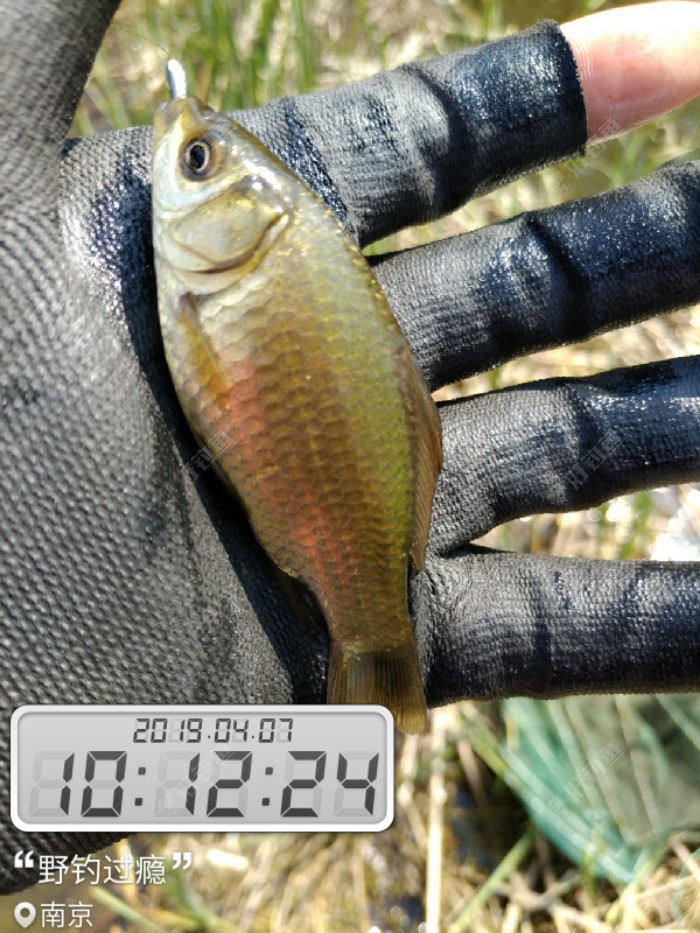 麻将牌