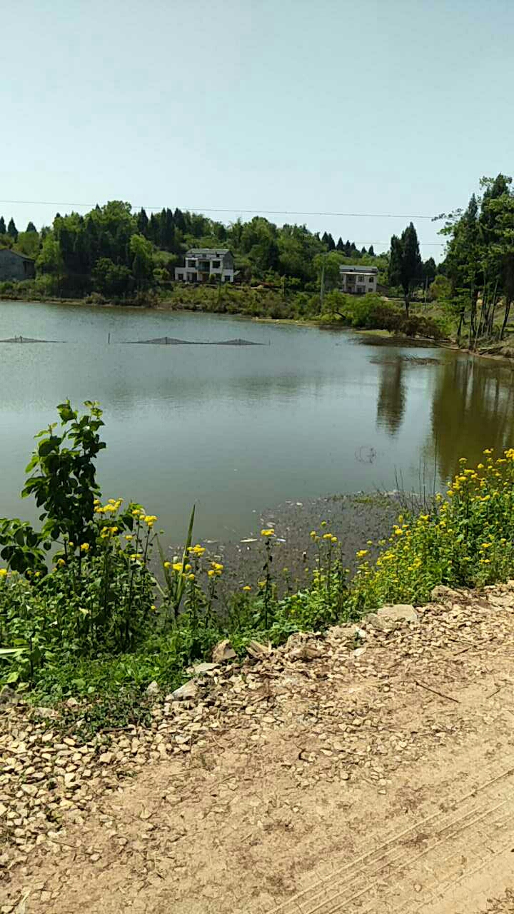 国梁镇丰收水库