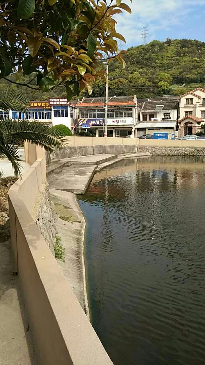 六横路池塘