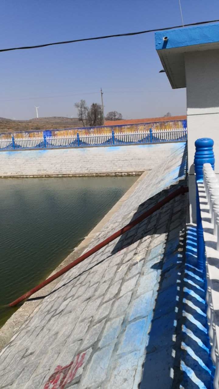 荫子镇胡家屯村西平塘