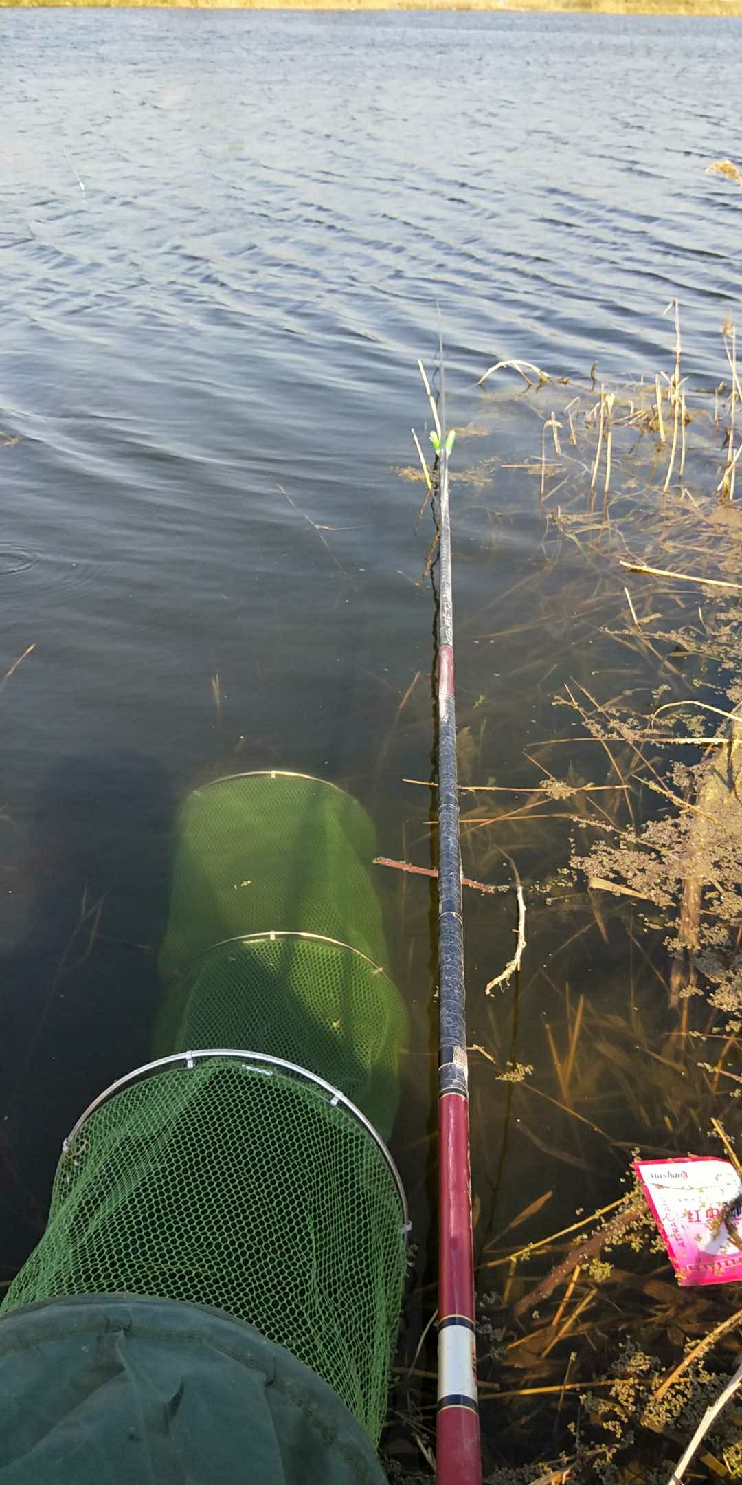 大王古正东野坑