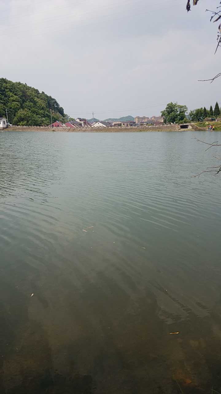 纳尼亚庄园傍边