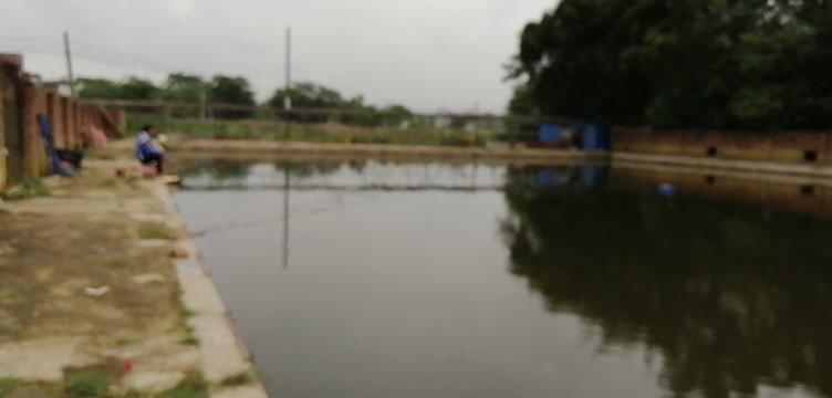 永兴（鸦鹊岗）钓场