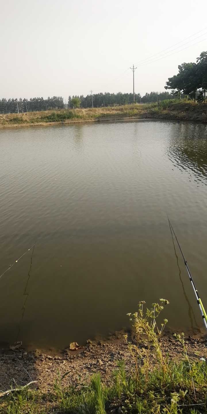 赵瓦房私人鱼塘