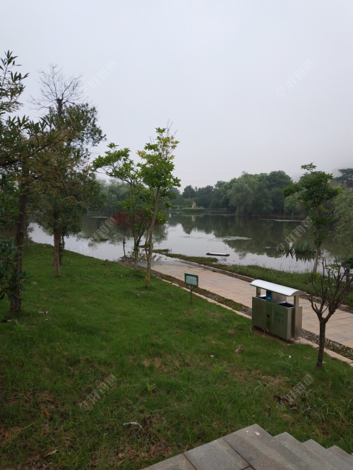 IMG_20190717_060435.jpeg