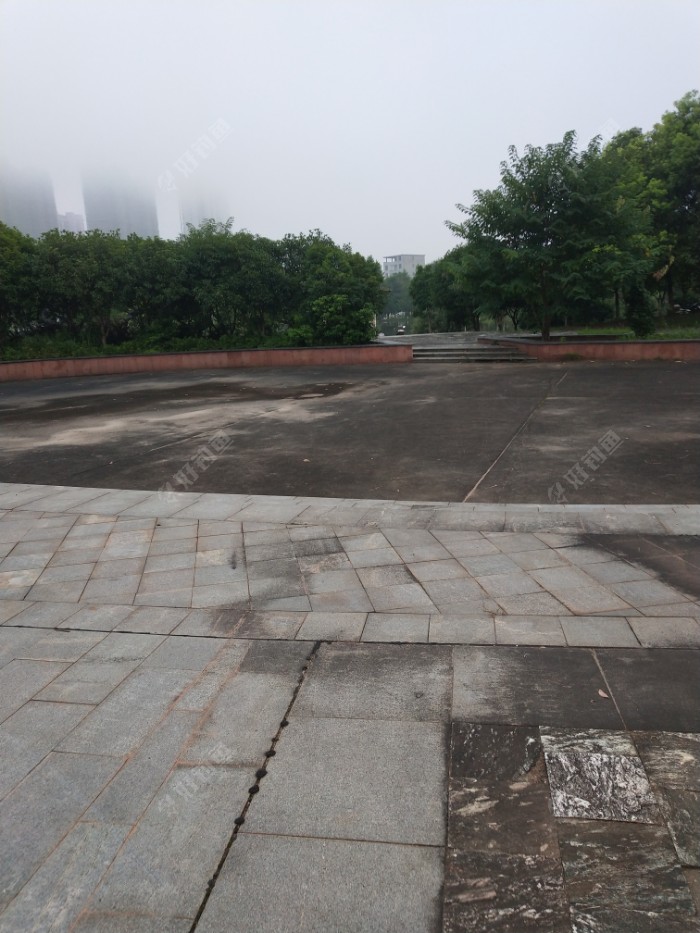 IMG_20190717_060405.jpeg