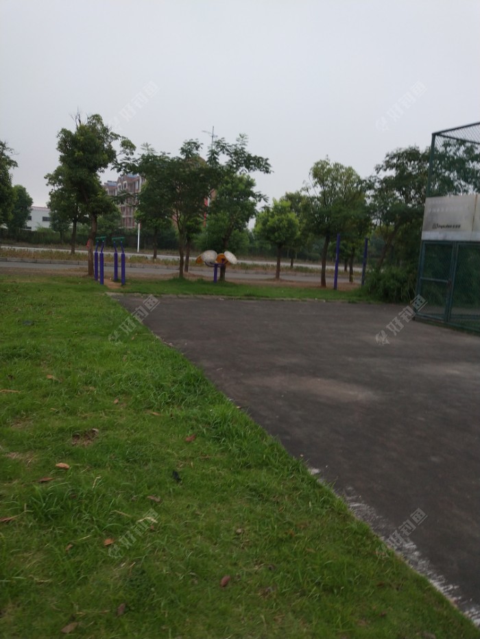 IMG_20190717_060355.jpeg