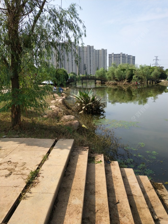 IMG_20190721_091725.jpeg