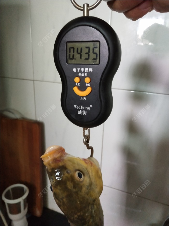 IMG_20190721_094335.jpeg