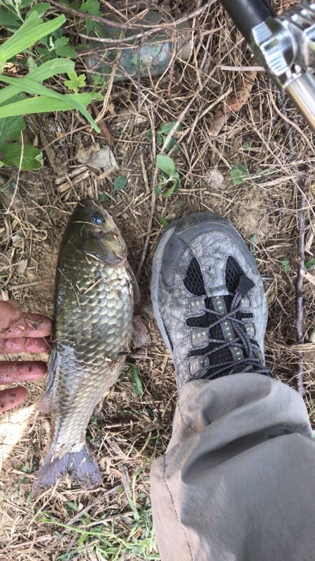 溜了近四五分钟