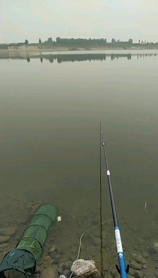 支曹村北  唐河