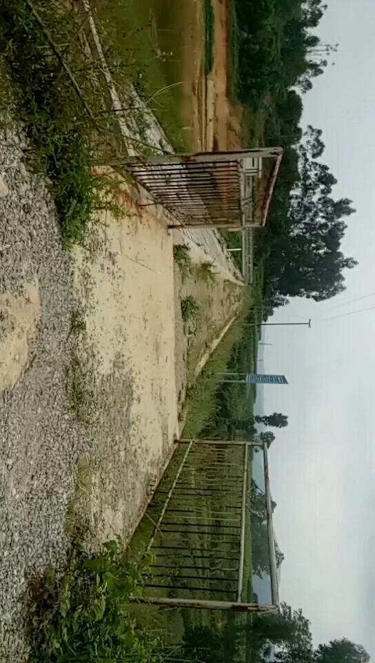 黑玛坝生态垂钓园