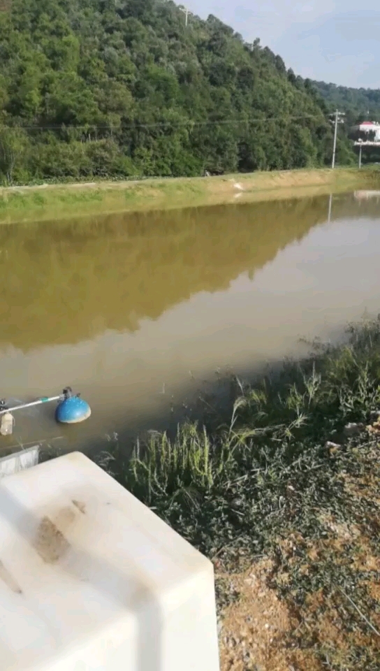 三合邑竞技垂钓中心