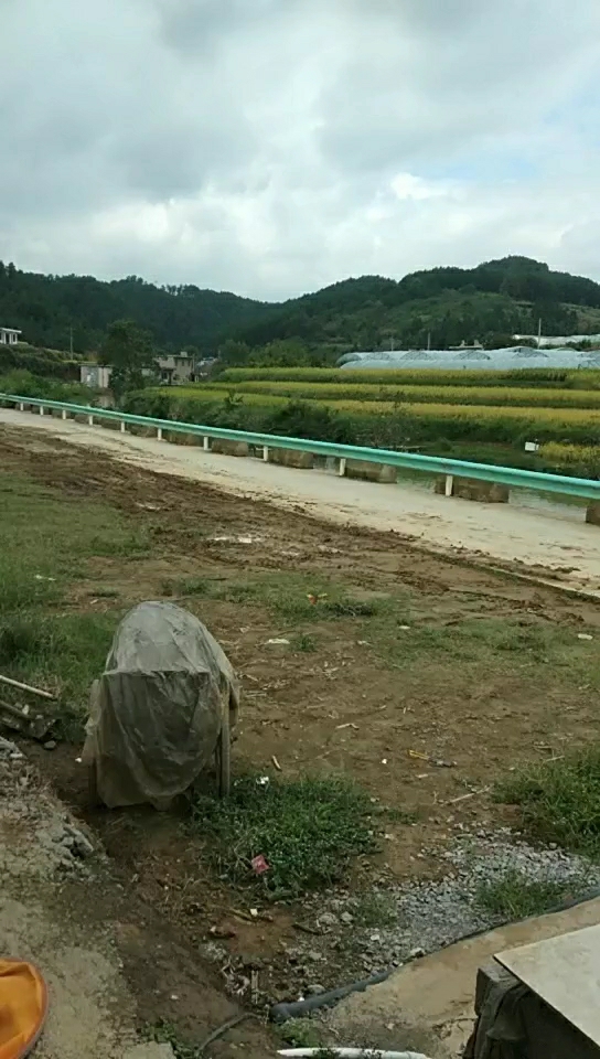 青山河边钓鱼