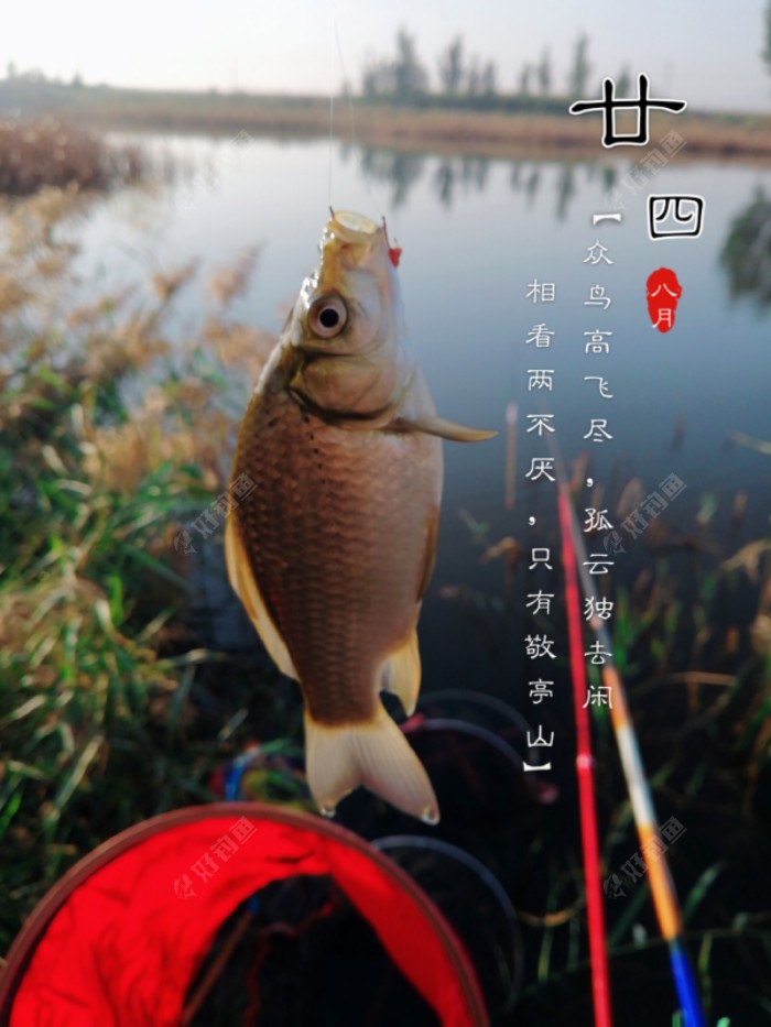 小板板也来了！