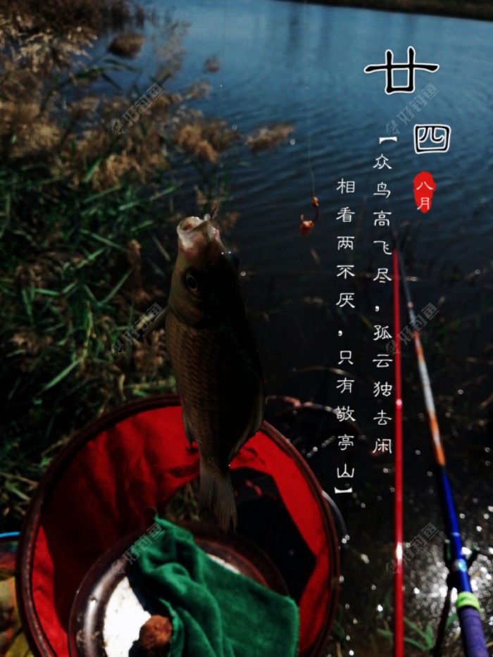 不知为啥，这张图片那么黑！