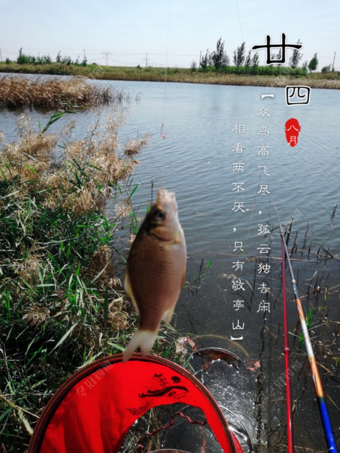 都差不多大，只有两条大一点的！