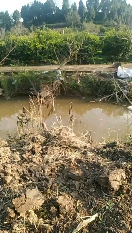 土桥一小外河沟
