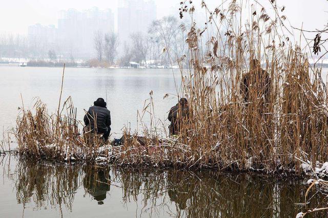 cjd0iVf8FNzPen9O2vHhTMU4IcGKY.jpeg