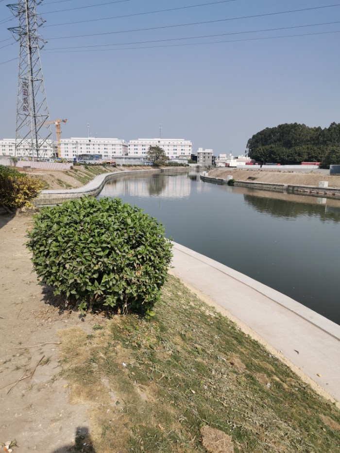 庆丰钓虾场旁珠江