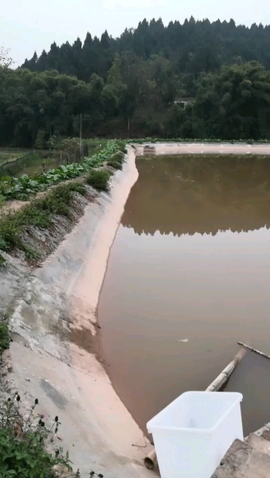 路亚之家（仁寿）垂钓基地