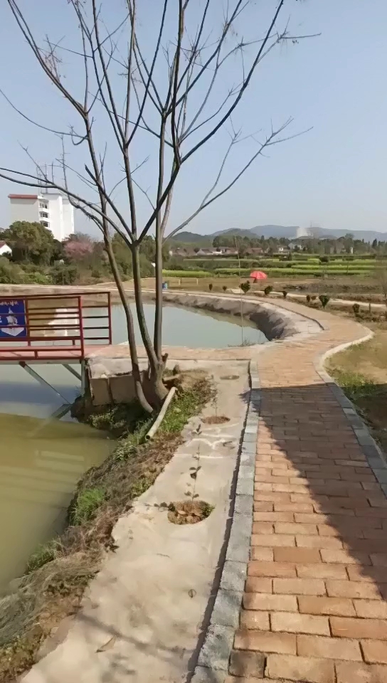 寨下新田园农庄钓场