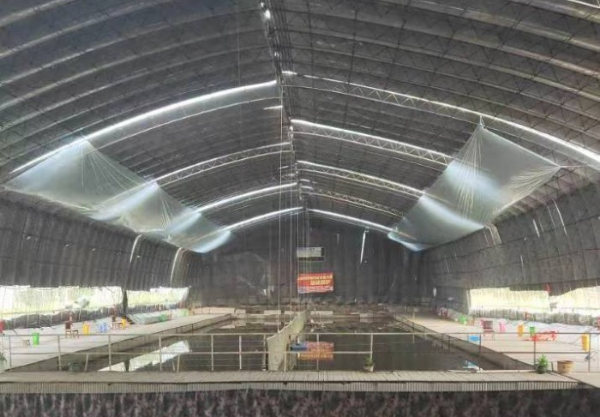 曙一联大鹏垂钓园