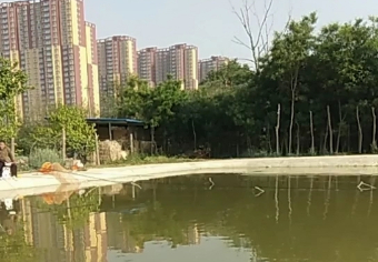 富平双东垂钓园